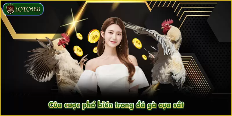 Cửa cược phổ biến trong đá gà cựa sắt