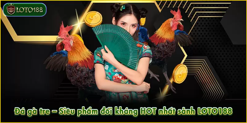 Đá gà tre – Siêu phẩm đối kháng HOT nhất sảnh LOTO188