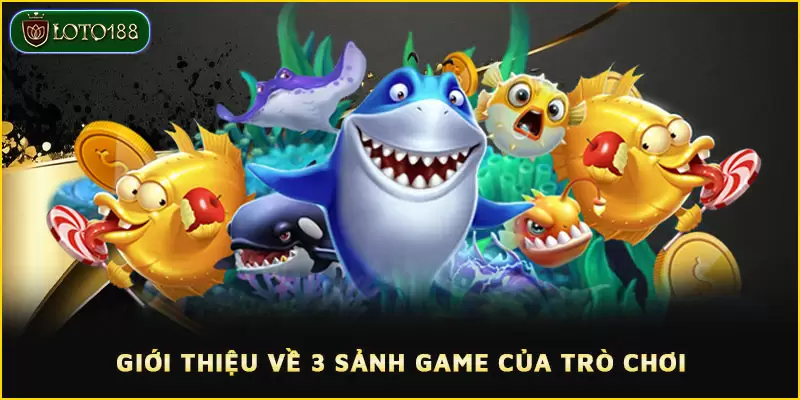 Bắn cá Thần Tài LOTO188 - Tiềm năng nhận thưởng cực khủng 3 Khám phá và lựa chọn 3 sảnh game Bắn cá Thần Tài