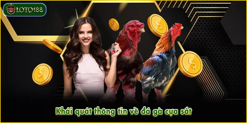 Đá gà cựa sắt thu hút lượt quan tâm khủng