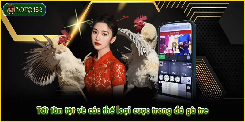 Đá gà tre - Siêu phẩm đối kháng HOT nhất sảnh LOTO188 3 Tất tần tật về các thể loại cược trong đá gà tre