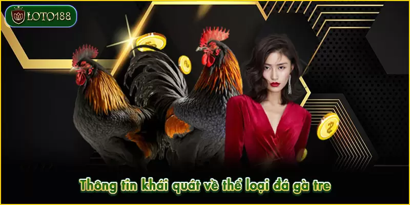 Đá gà tre - Siêu phẩm đối kháng HOT nhất sảnh LOTO188 2 Đá gà tre mang đến trải nghiệm mới mẻ cho các thành viên
