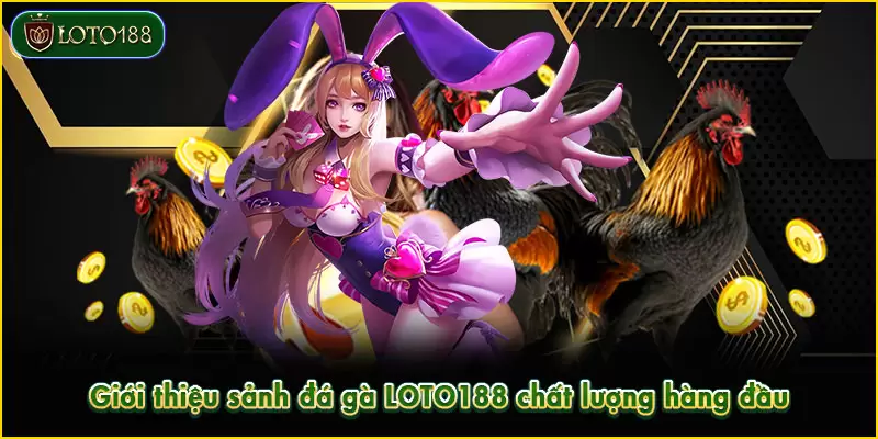 Đá gà LOTO188 - Sảnh cược kịch tính, rinh thưởng khủng 1 Sảnh đá gà LOTO188 mang đến trải nghiệm kịch tính