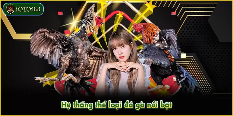 Đá gà LOTO188 - Sảnh cược kịch tính, rinh thưởng khủng 2 Thể loại đá gà trong sảnh cược vô cùng đa dạng